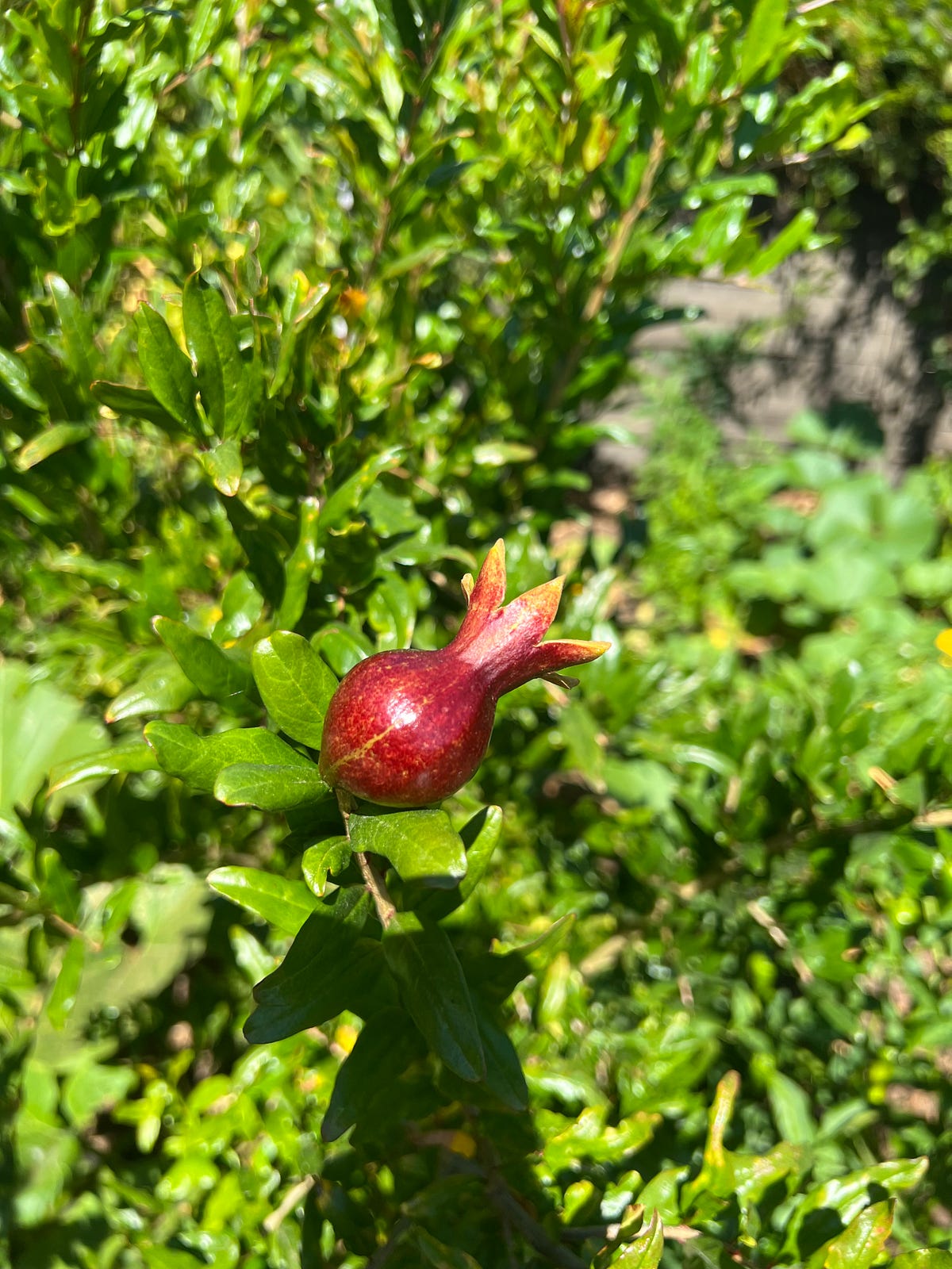 Limits. Once the limits are rarely reached and… by Nikoo Parsizadeh