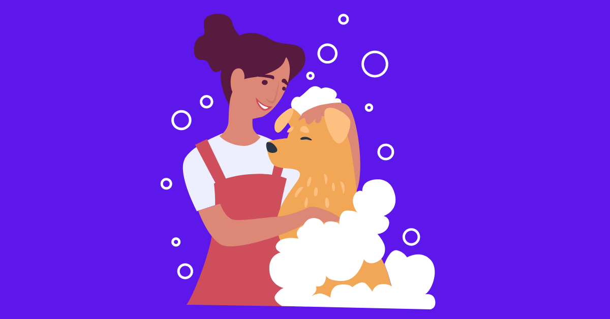 How to Improve Your Dog’s Coat and Skin A Comprehensive Guide For 2024