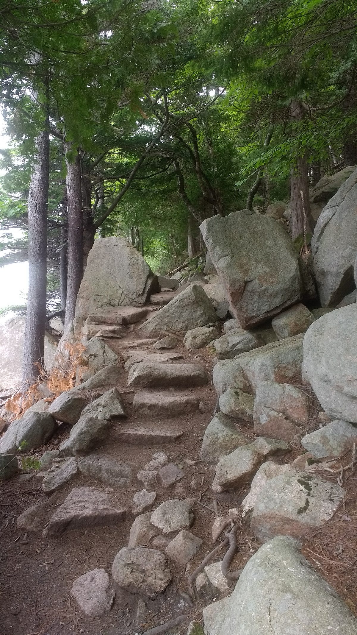 What’s your favorite Adventure Story? by Dr. Jason S. Frishman Medium