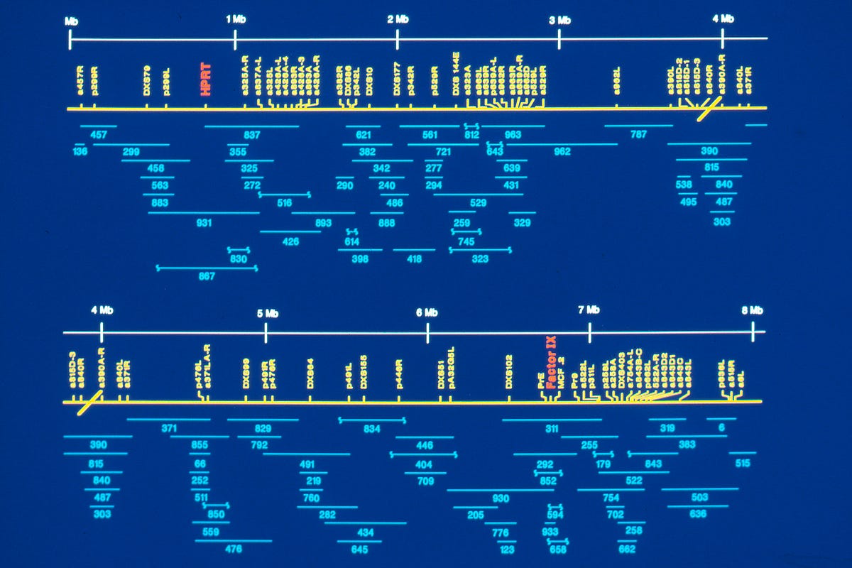 High Throughput Sequence Data Pipeline, Part. 2 Sequence Mapping by