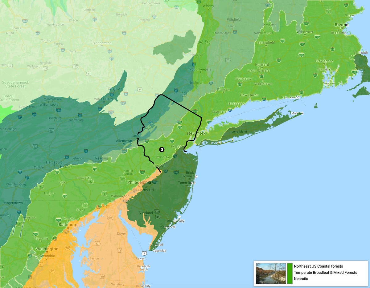 New Jersey: diverse in everything, even ecological regions  by Oleksii Chekulaiev  Medium