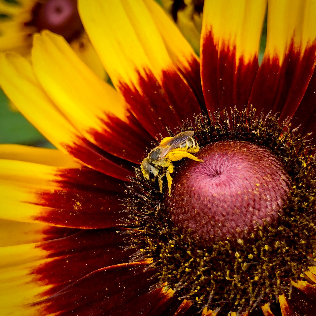 photography-captures-the-moment-photography-and-photo-editing-are-my