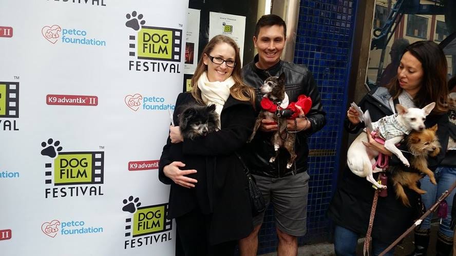 Image of: San Francisco’s BYOD (Bring Your Own Dog) Film Fest