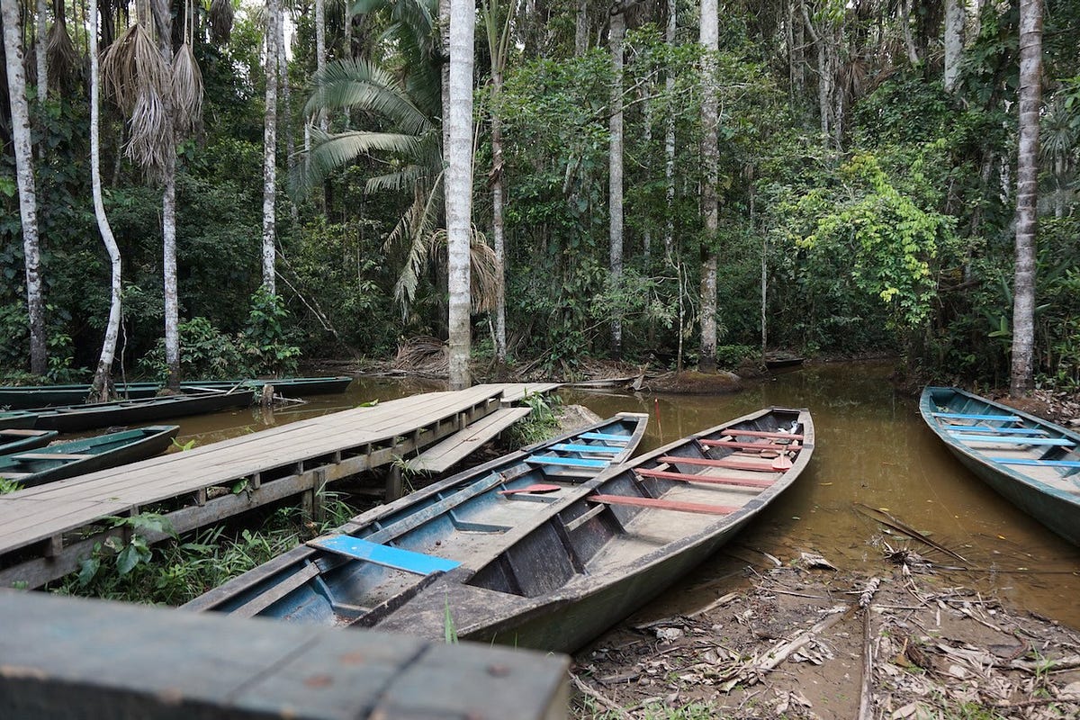 Puerto Maldonado w Peru — Amazonia dla początkujących | by Naprzeciw Światu  - blog podróżniczy | Medium