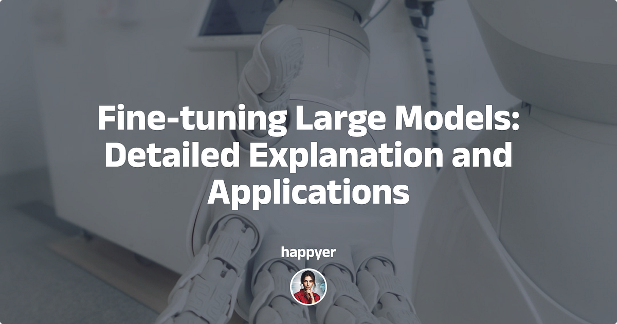Fine-tuning Large Models: Detailed Explanation and Applications | by ...