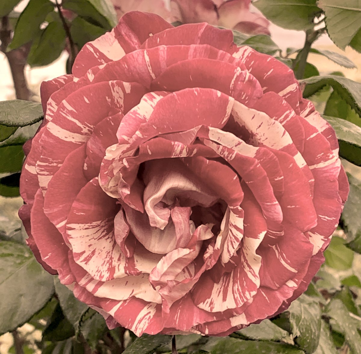 A Rather Strange Adventure Fiction By Dominic Levien Medium a-rather-strange-adventure-fiction-by-dominic-levien-medium