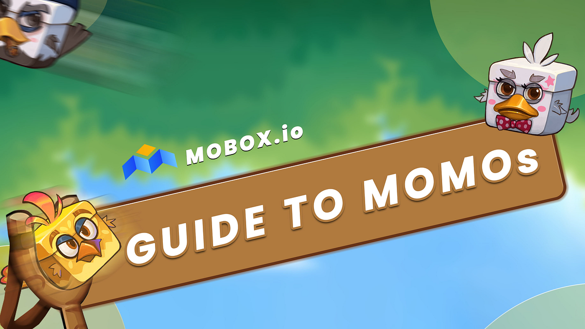 A Guide to MOMOs. Welcome to all things MOMO at MOBOX… | by MOBOX