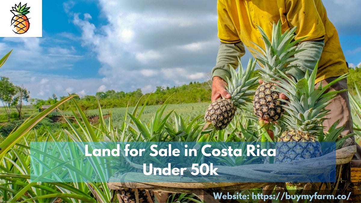 Where is the cheapest place to buy land in Costa Rica? by Buy My Farm