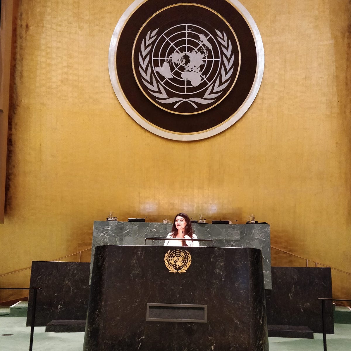 UN STI Forum 2018. The UN STI Forum 2018 was a learning… by Iqra