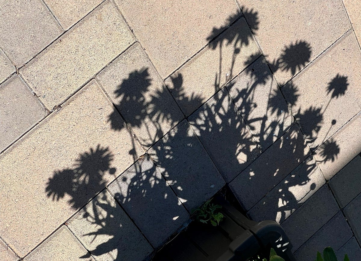 What is Shadow in Psychology?. Please learn about it and live more ...