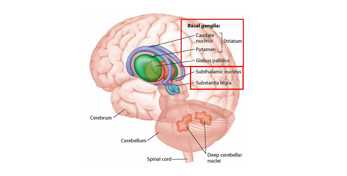 Deep Gray Matter (DGM) Segmentation using 3D Convolutional Neural ...