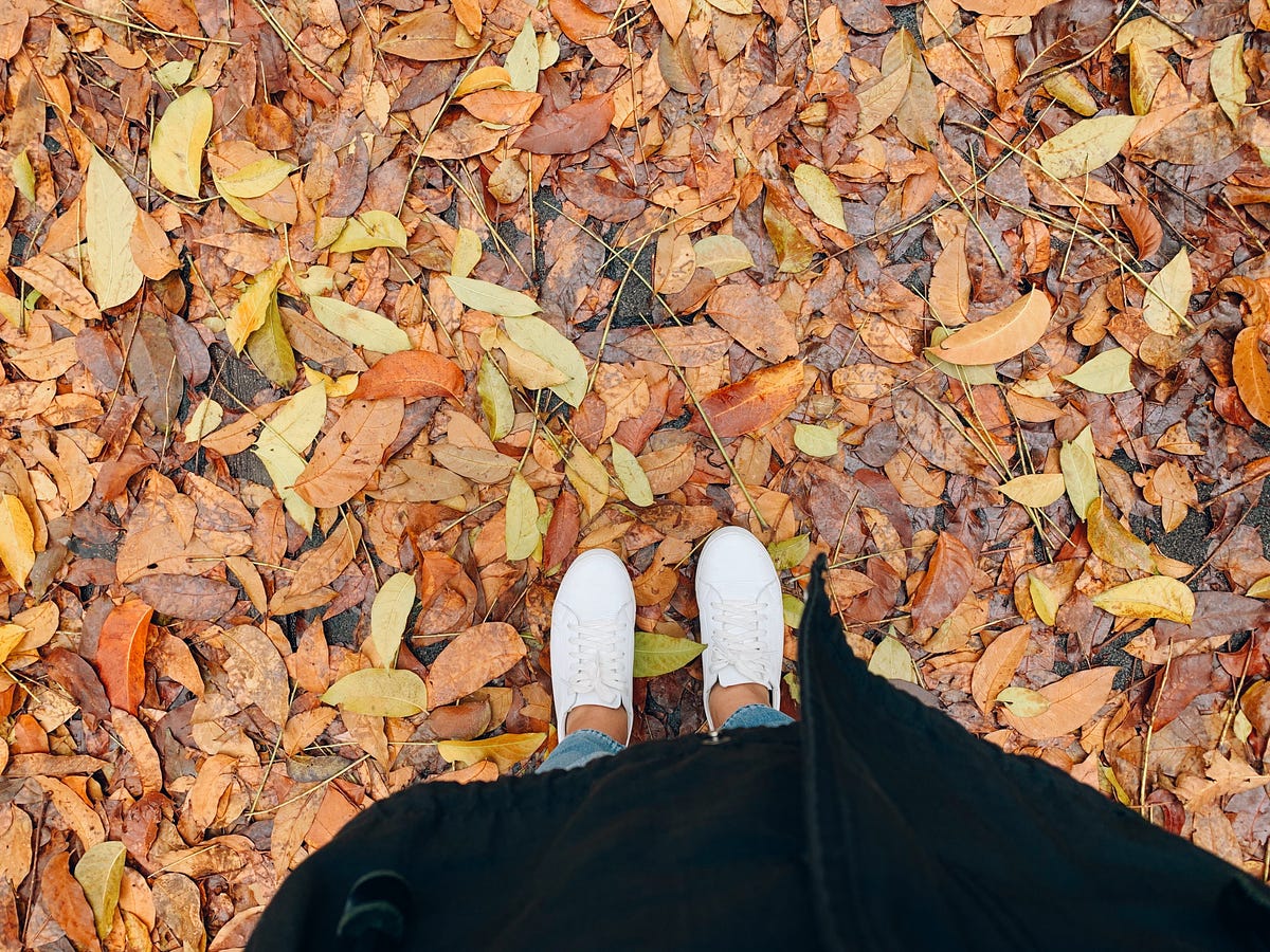 關於法律跨心理這件事- Pin Chen - Medium