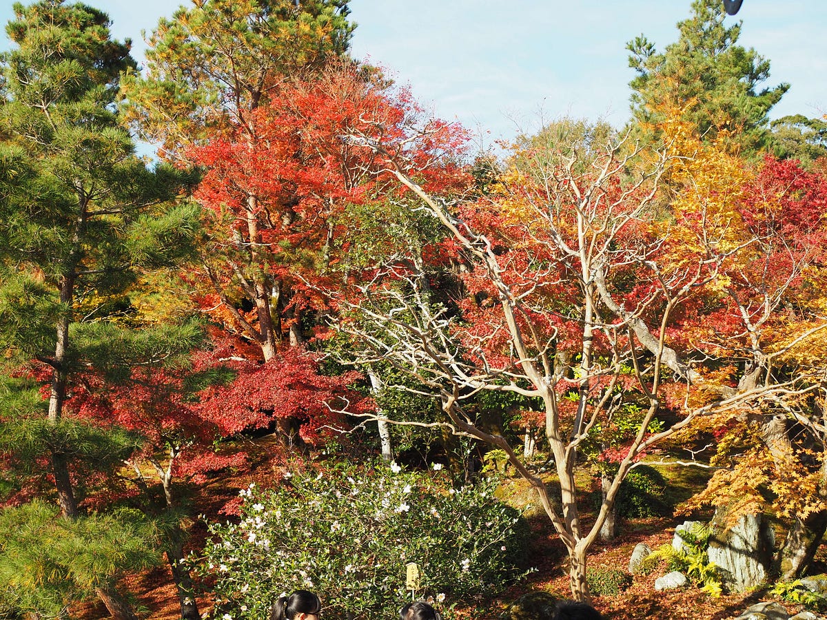 HackerRank’s Counting Valleys Challenge Simple Javascript Solution by