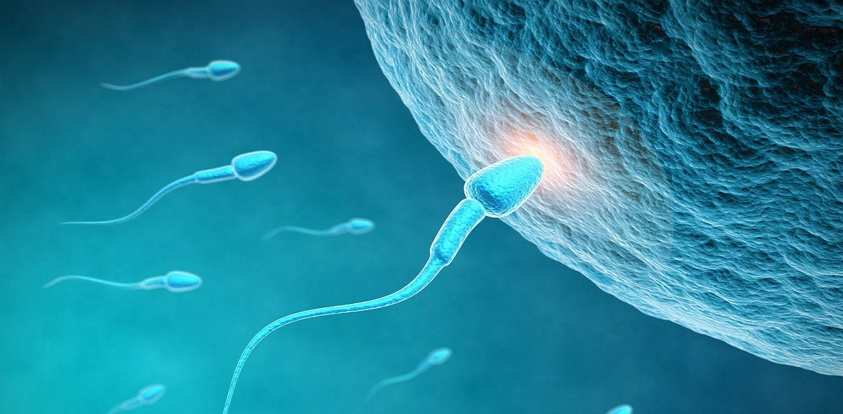 How do infertility treatments work and how effective are they? by