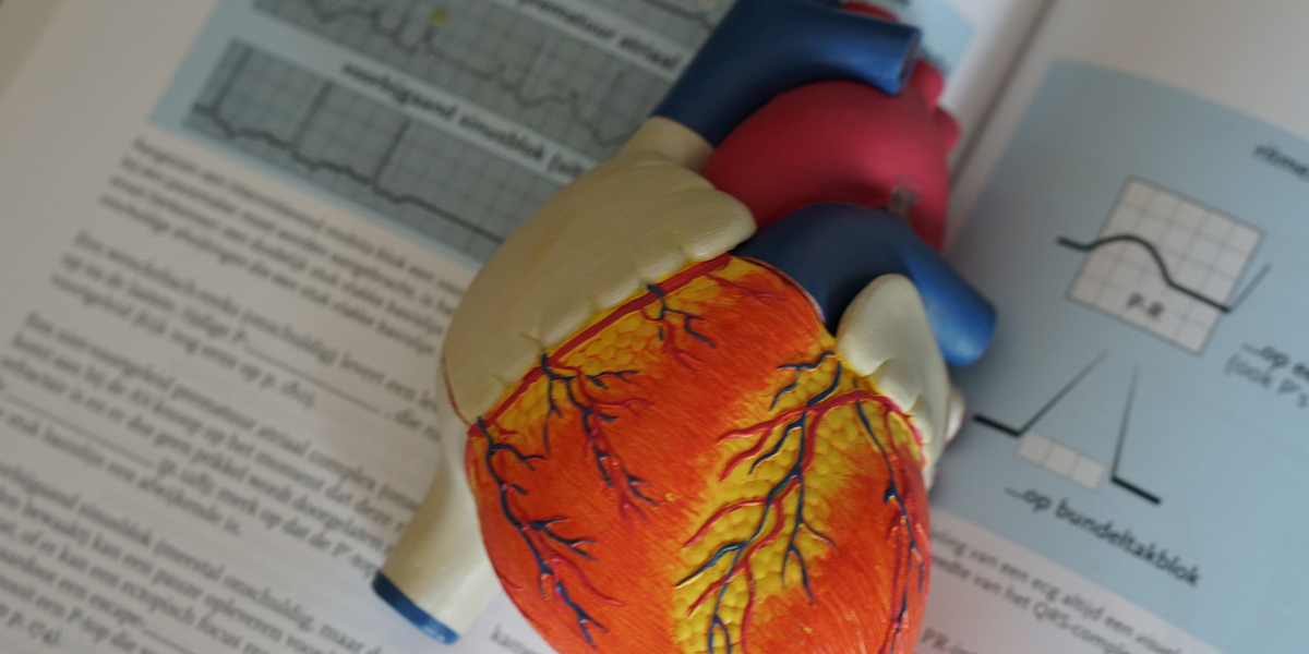 New treatment option shown for heart failure fluid overload by zeina youssef Medication