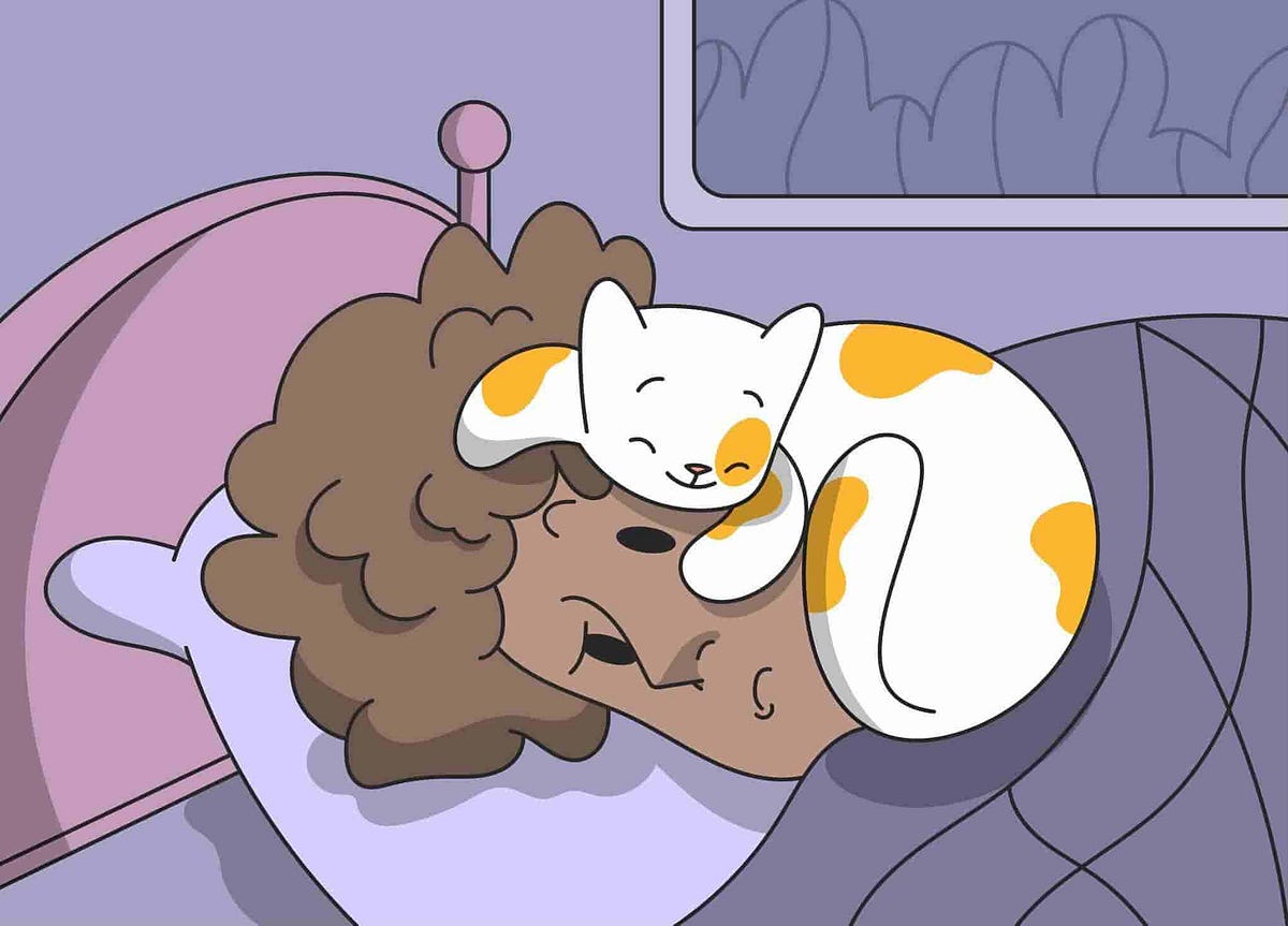 What Does It Mean When Your Cat Sleeps on You? by Petcube Medium