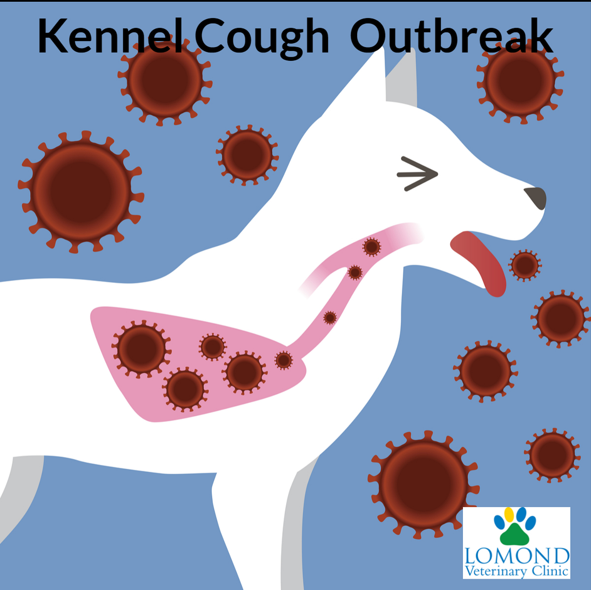 PENYAKIT KENNEL COUGH. Penyakit ini merupakan penyakit yang… by