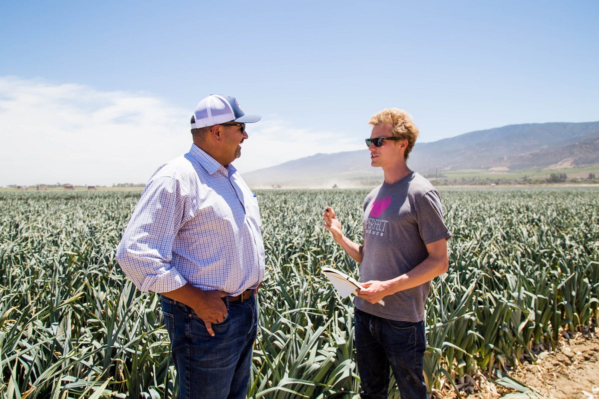 Why Do Farmers End Up With Surplus Produce? by Imperfect Foods Medium