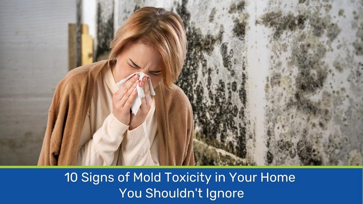 10 Signs Of Mold Toxicity In Your Home You Shouldn’t Ignore | By Mold ...