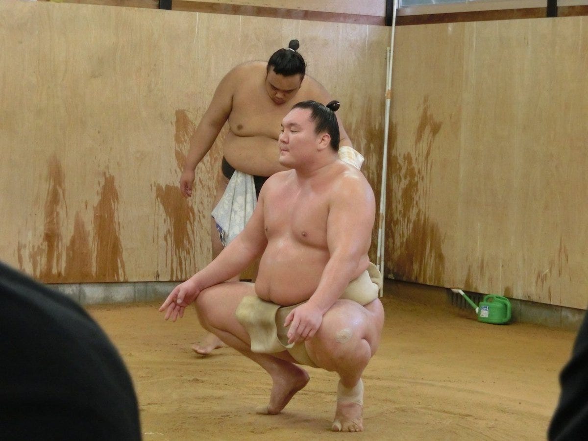 Team Sumo - Sumo Strength