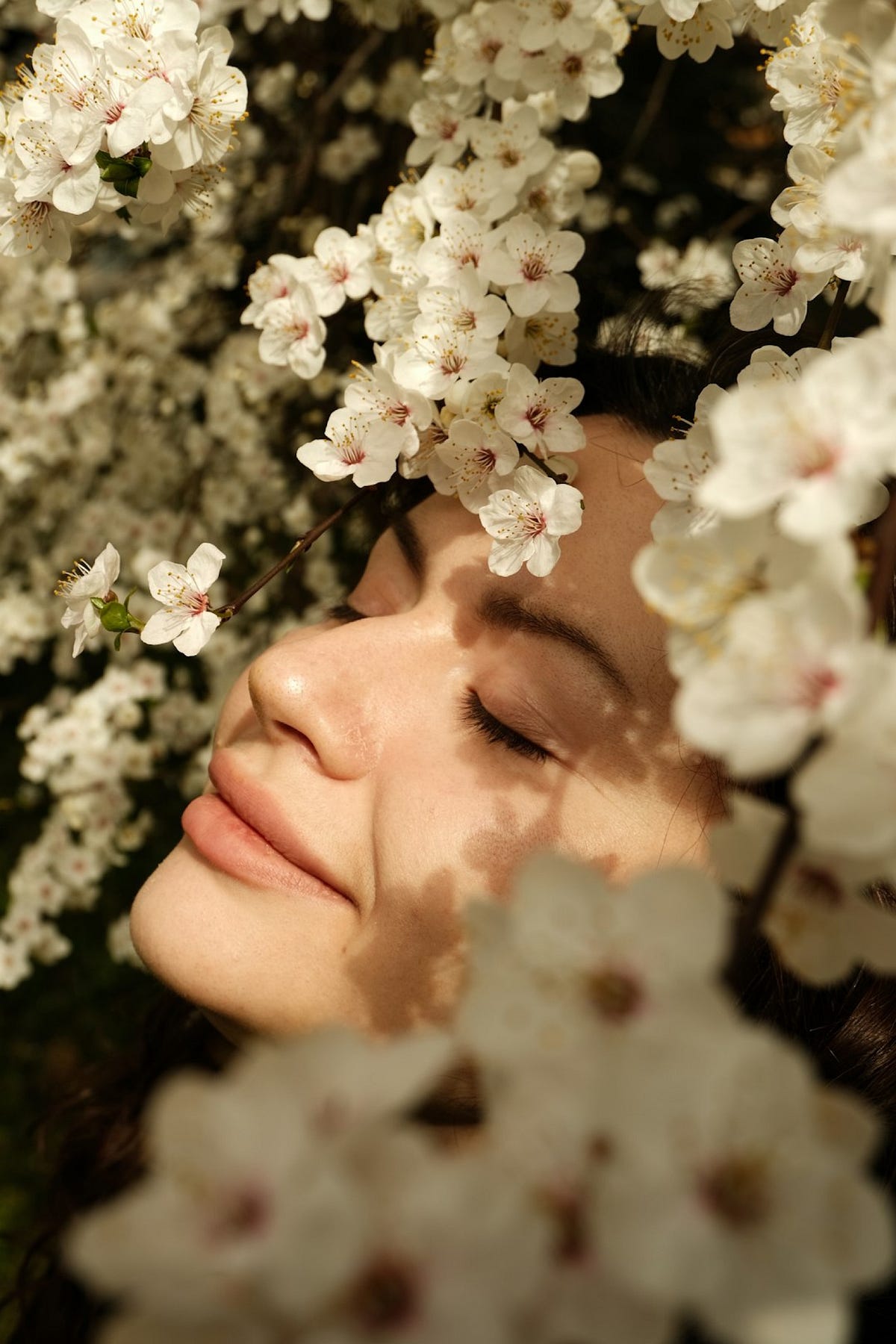 Spring Out Of 🌸Spring Is in the Air. Spring of a Love Seeker | by Jasmin Haque ...