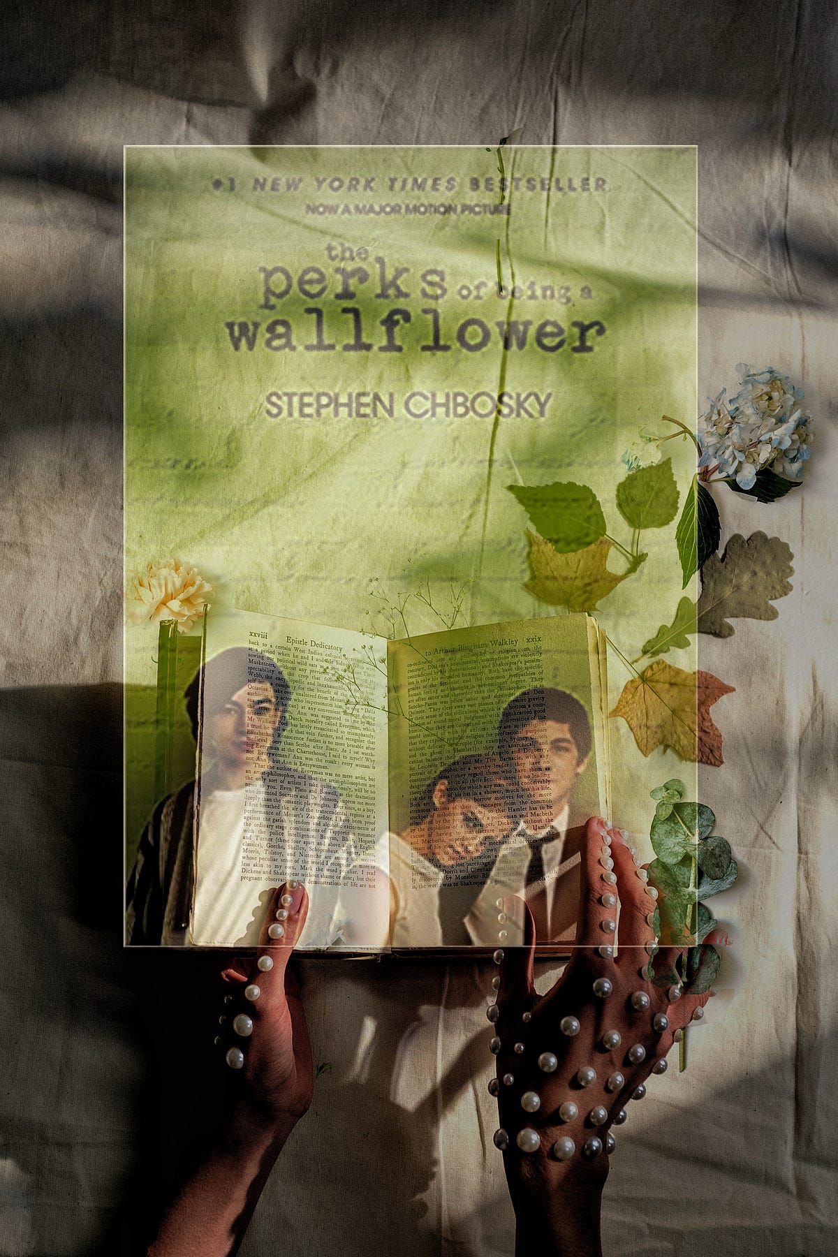The Perks Of Being A Wallflower Book Summary The Perks Of Being A Wallflower : Book Review | | Medium