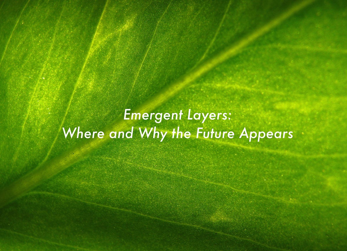 Thumbnail of Emergent Layers: an Introduction