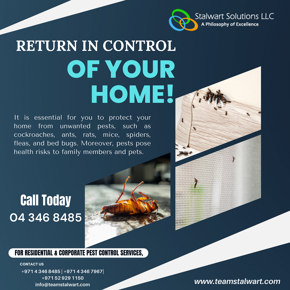 Evaluate the presence of pests in and around your home office and
