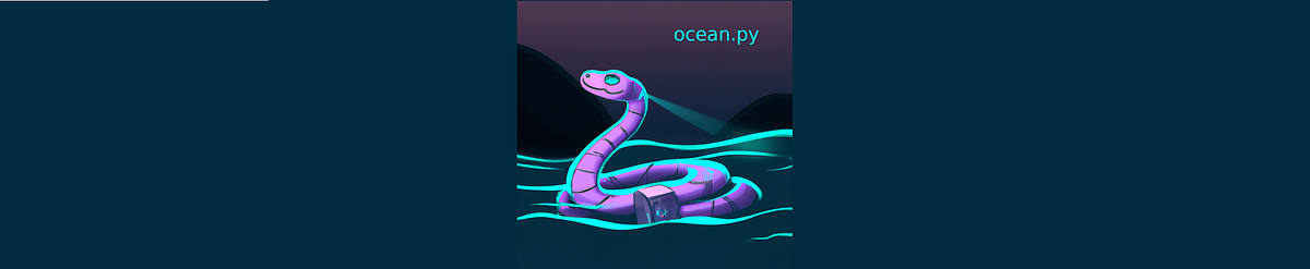 Getting Started with ocean.py, Part 1: Introduction & Installation | by ...