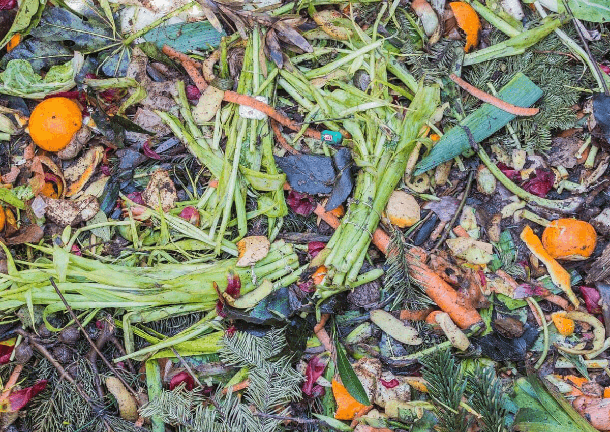 Valorisation des biodéchets & coproduits : tour d’horizon des filières à haute valeur ajoutée
