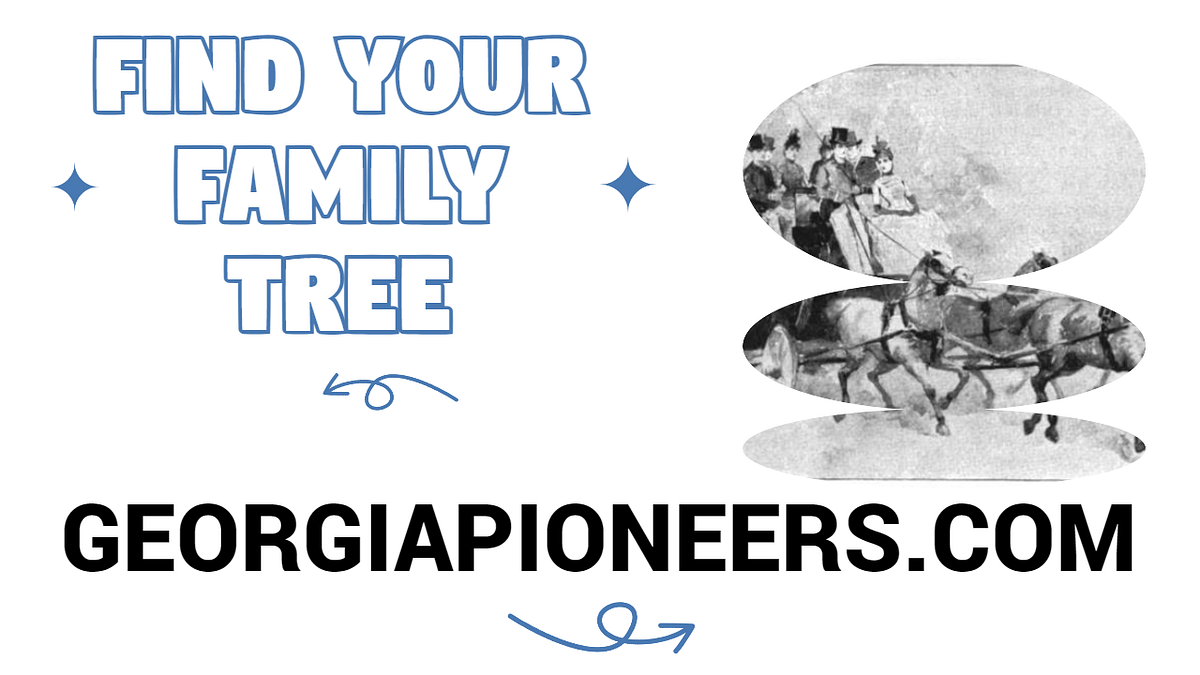 How to Find Your Family Tree. I have some tips for searching for… | by ...