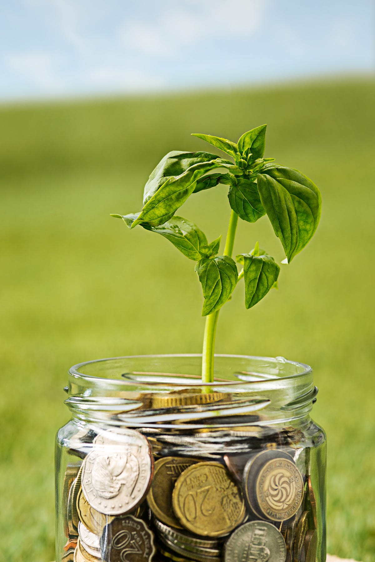 Green Finance Explained: How It Works & Why It Matters | by Cynthia ...