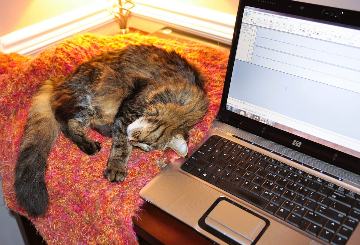 Eliminating Distractions: Workspace Organization: Workspace ...