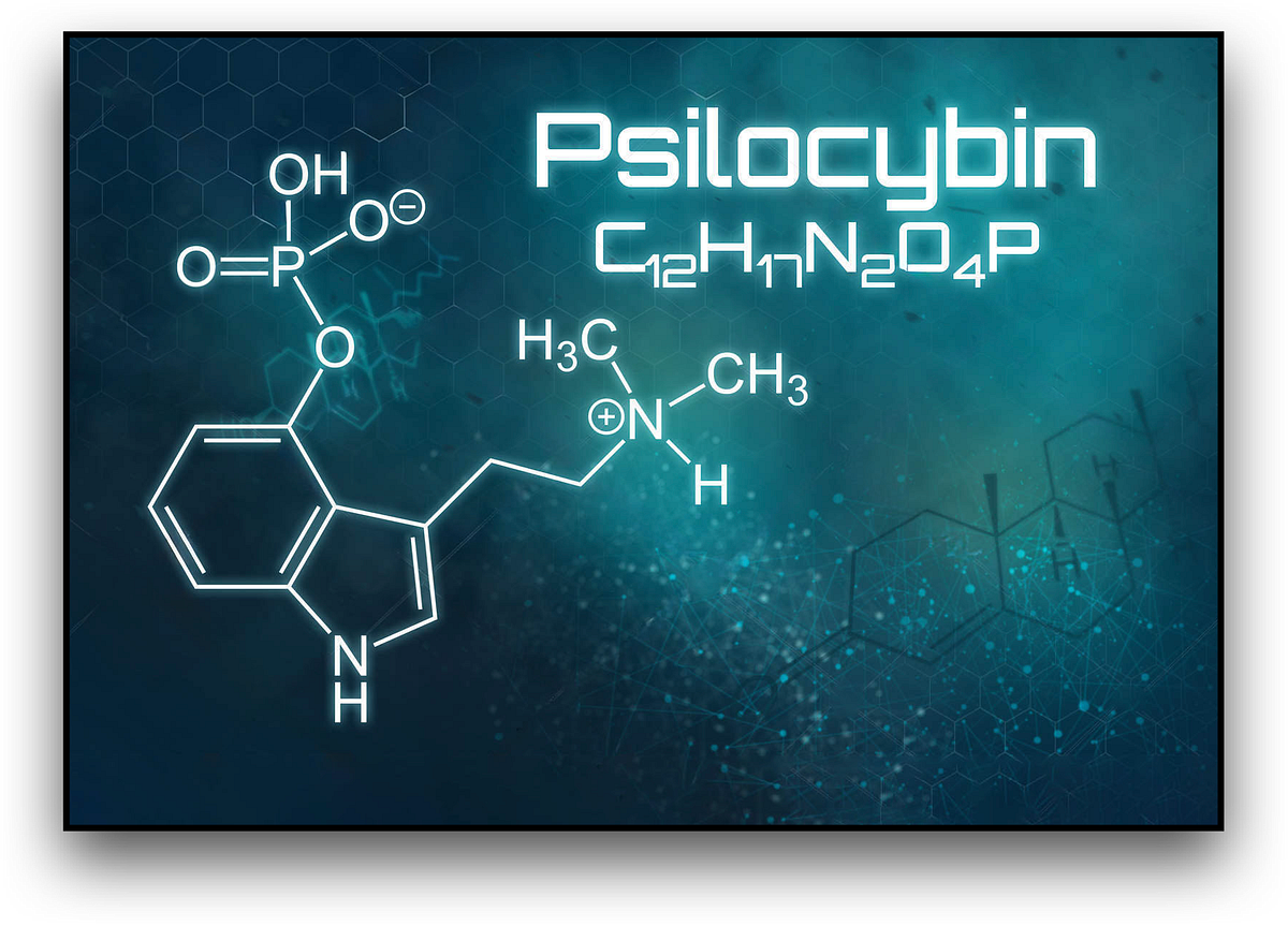 Psilocybin Mushrooms Healing Trauma and Expanding Consciousness by Kieran Cuddihy Medium Psilocybin Mushrooms Healing Trauma and Expanding Consciousness by Kieran Cuddihy Medium