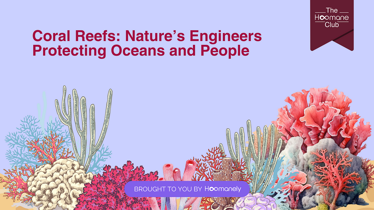 Coral Reefs: Nature’s Engineers Protecting Oceans And People 