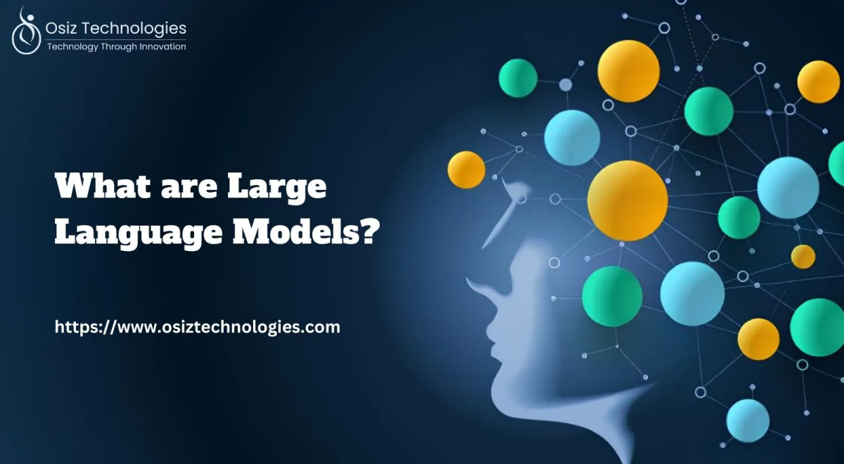 What Are Large Language Models? Key Things You Need To Know! | by Osiz ...