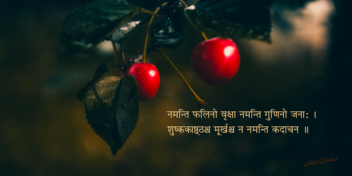 A Sanskrit Subhashita to Highlight the Importance of Humility. by HBR