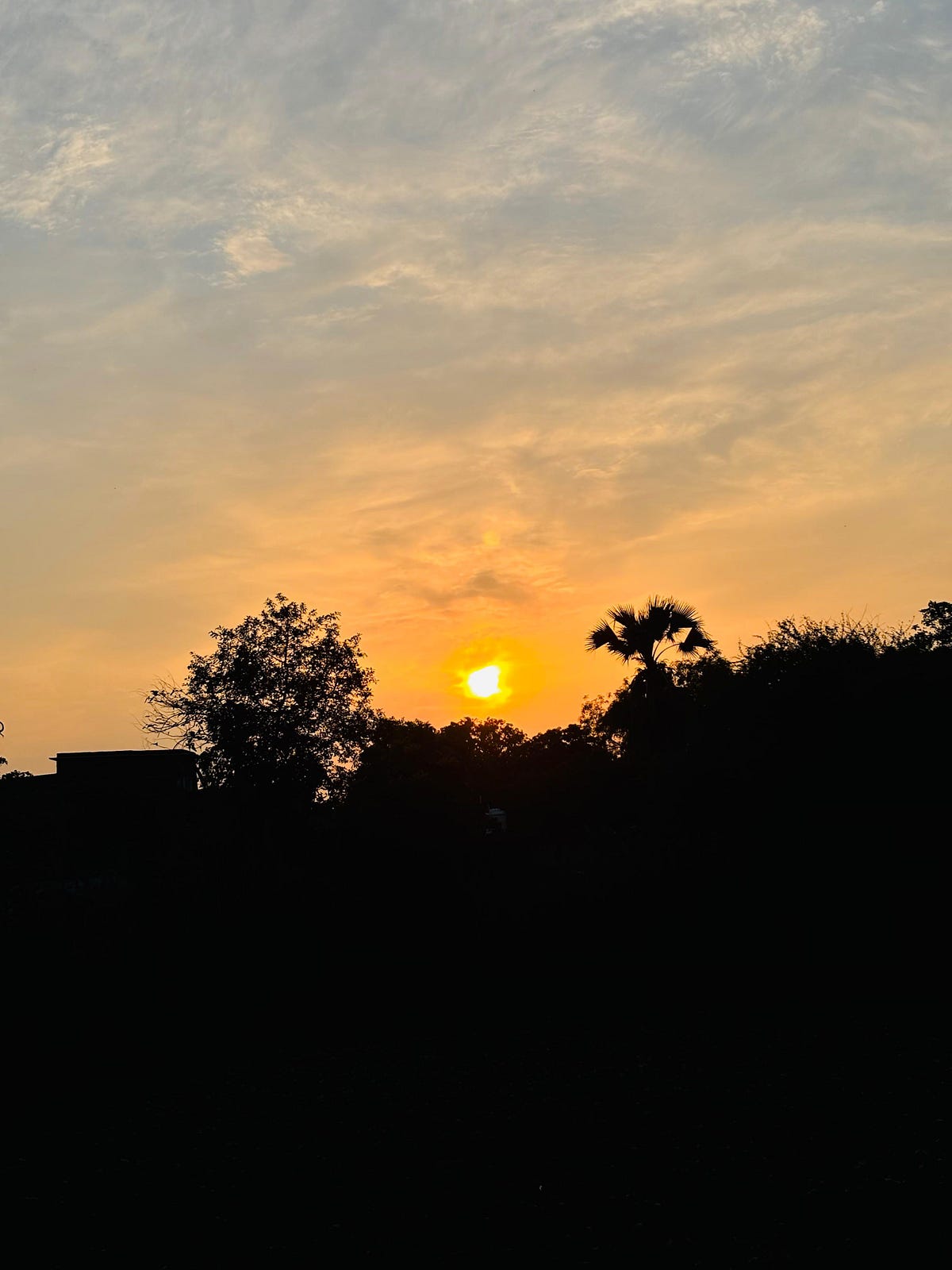 Treta Yug in the Age of Kali — A Glimpse of Lost Togetherness 