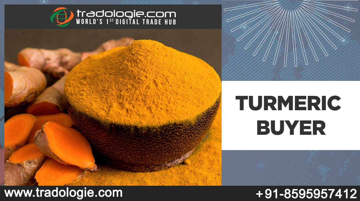 Turmeric Buyer Bilalabbasi Tradologie Medium