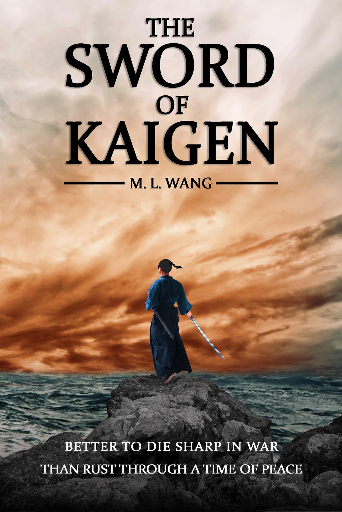 Review of Sword of Kaigen by M.L Wang Anirban Chakraborty Medium