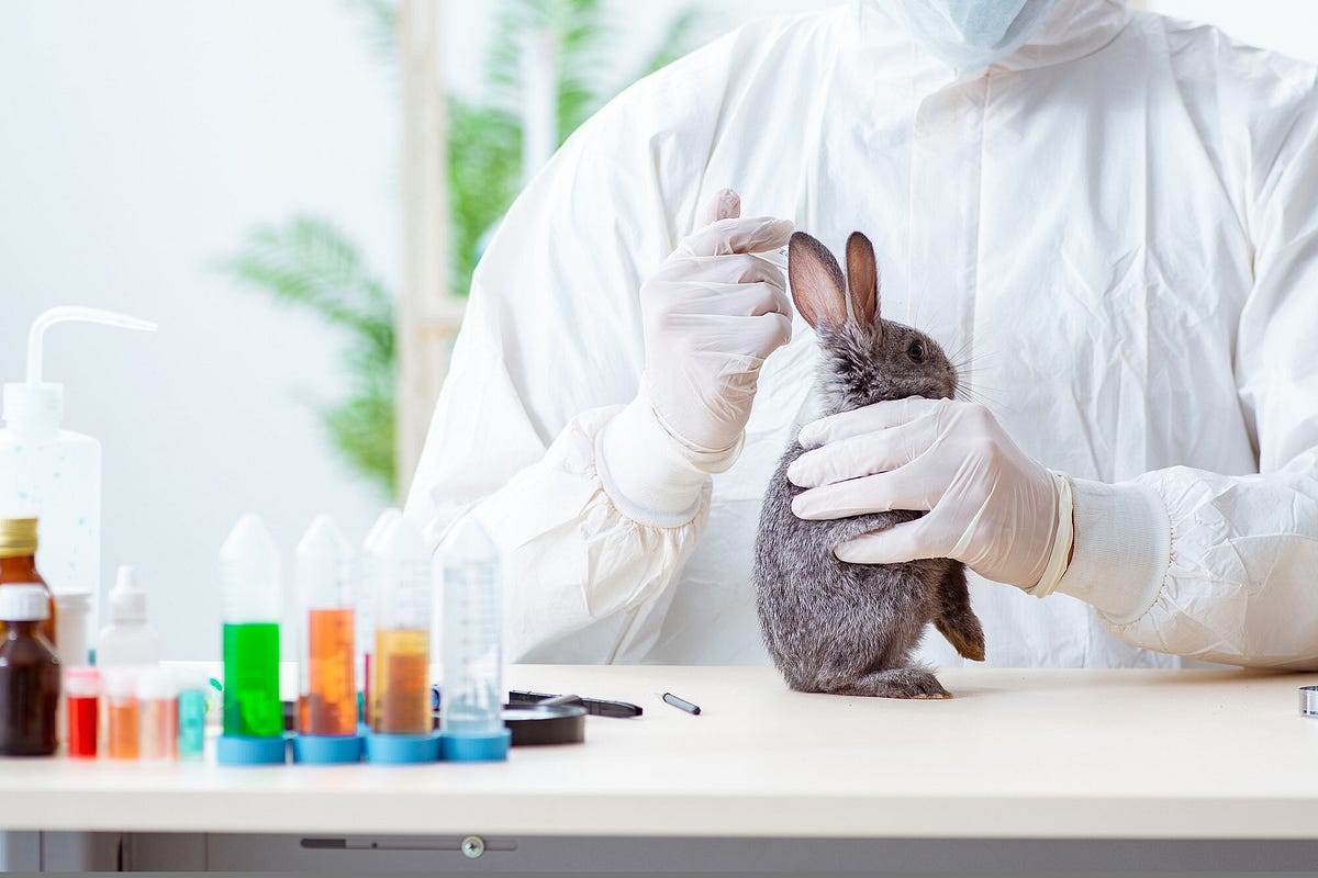 Are Animal Tested Products Safe Controversy Over Animal Testing By 