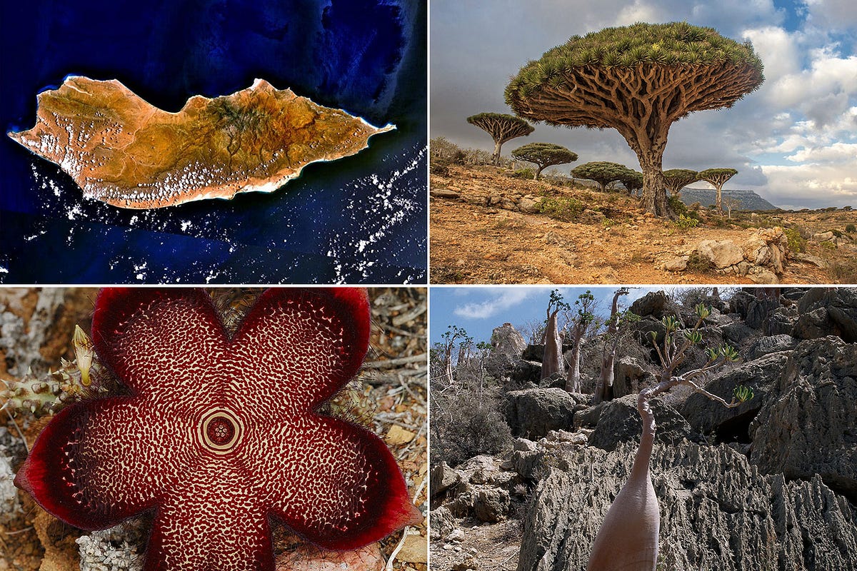 Top 10 of the Most Strange and Mysterious Islands That Are Truly