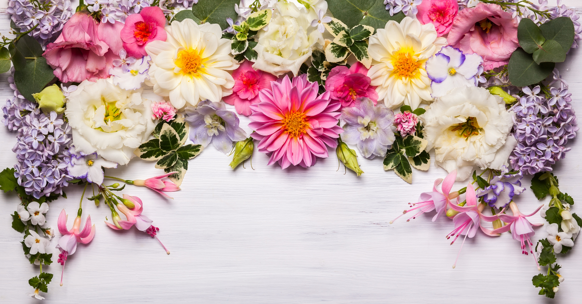 Understand the Language of Flowers The Meaning Behind Flower Colors