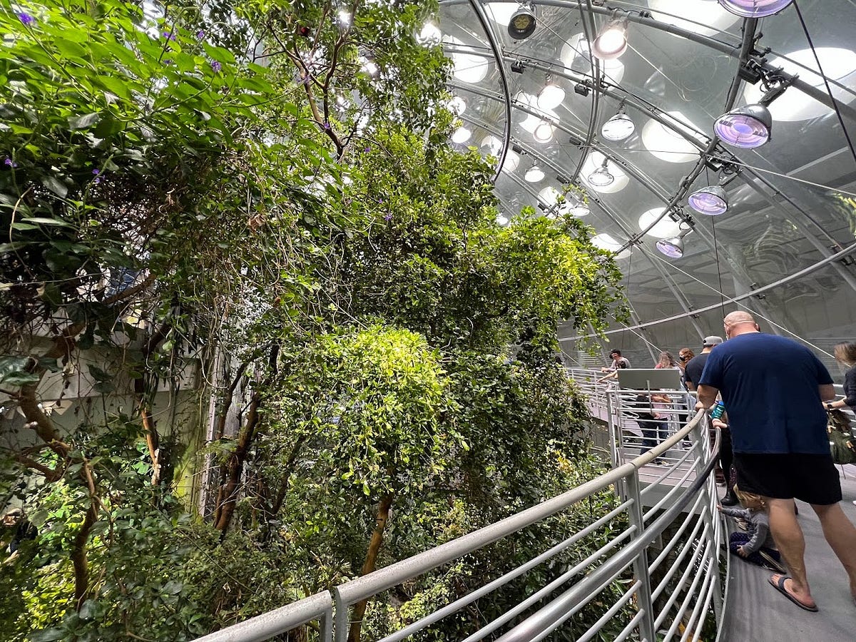 Image of: 5 Awesome Bay Area Kids’ Activities for a Rainy Day