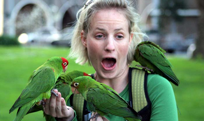 Image of: Why you should see this documentary about San Francisco’s newest mascot