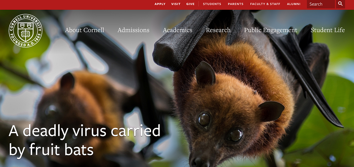 Cornell University Website: Usability Case Study and Redesign | by ...