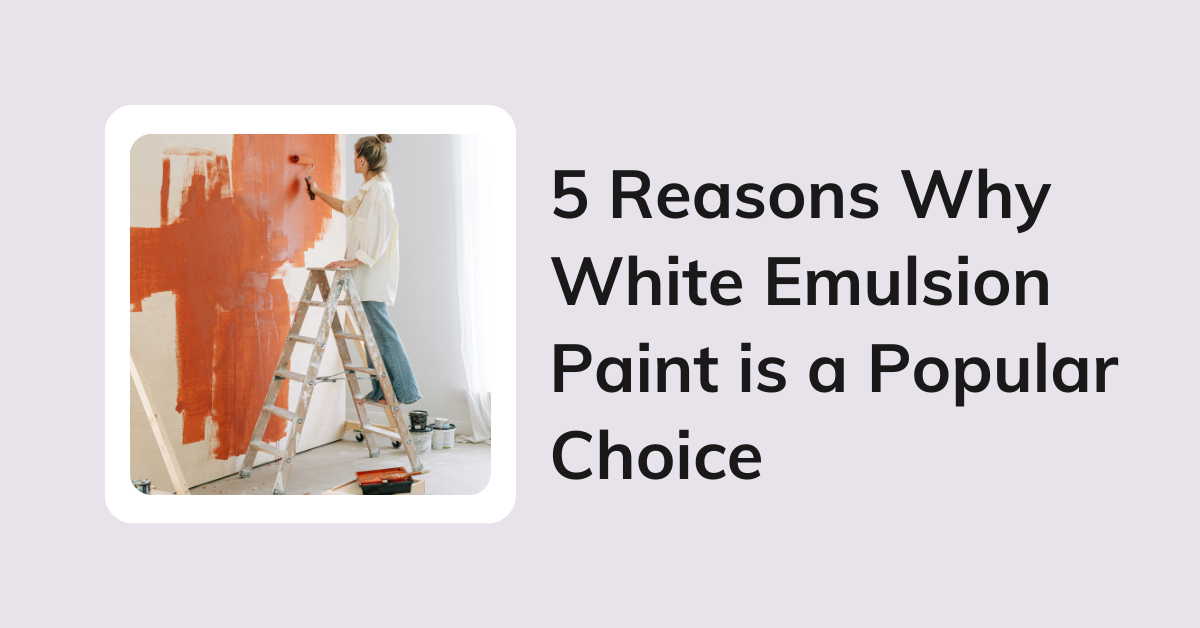 5 Reasons Why White Emulsion Paint is a Popular Choice by Cvalley