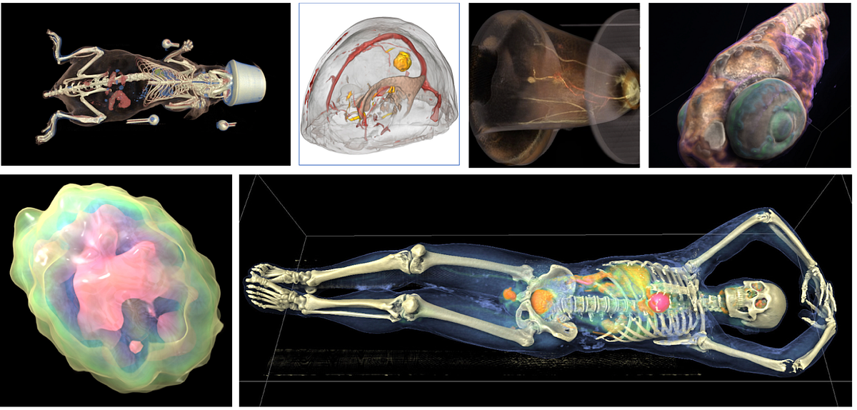 How Deep Learning Enables Large-Scale Scientific Visualization | by ...