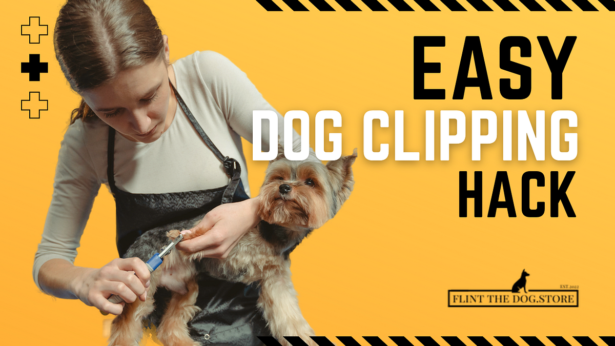 How To Cut Your Dogs Nails Especially When They’re Dark Colored And The