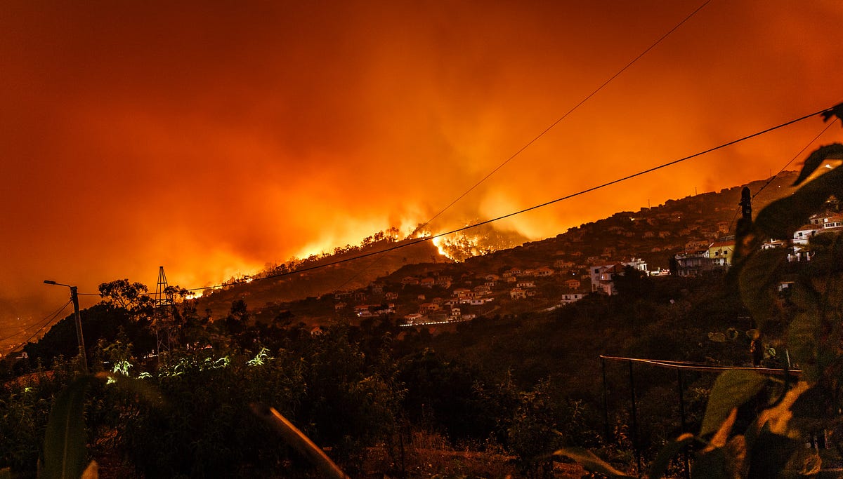 Southern California Edison Power Lines Caused the Deadly California